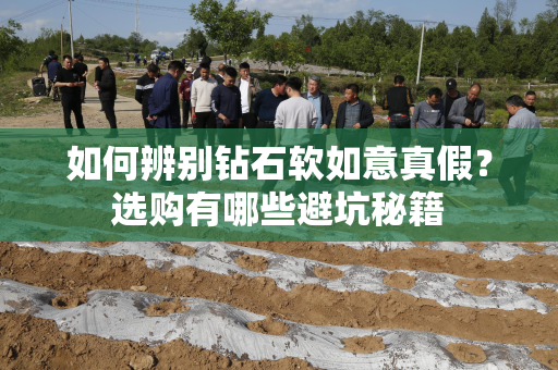 如何辨别钻石软如意真假？选购有哪些避坑秘籍